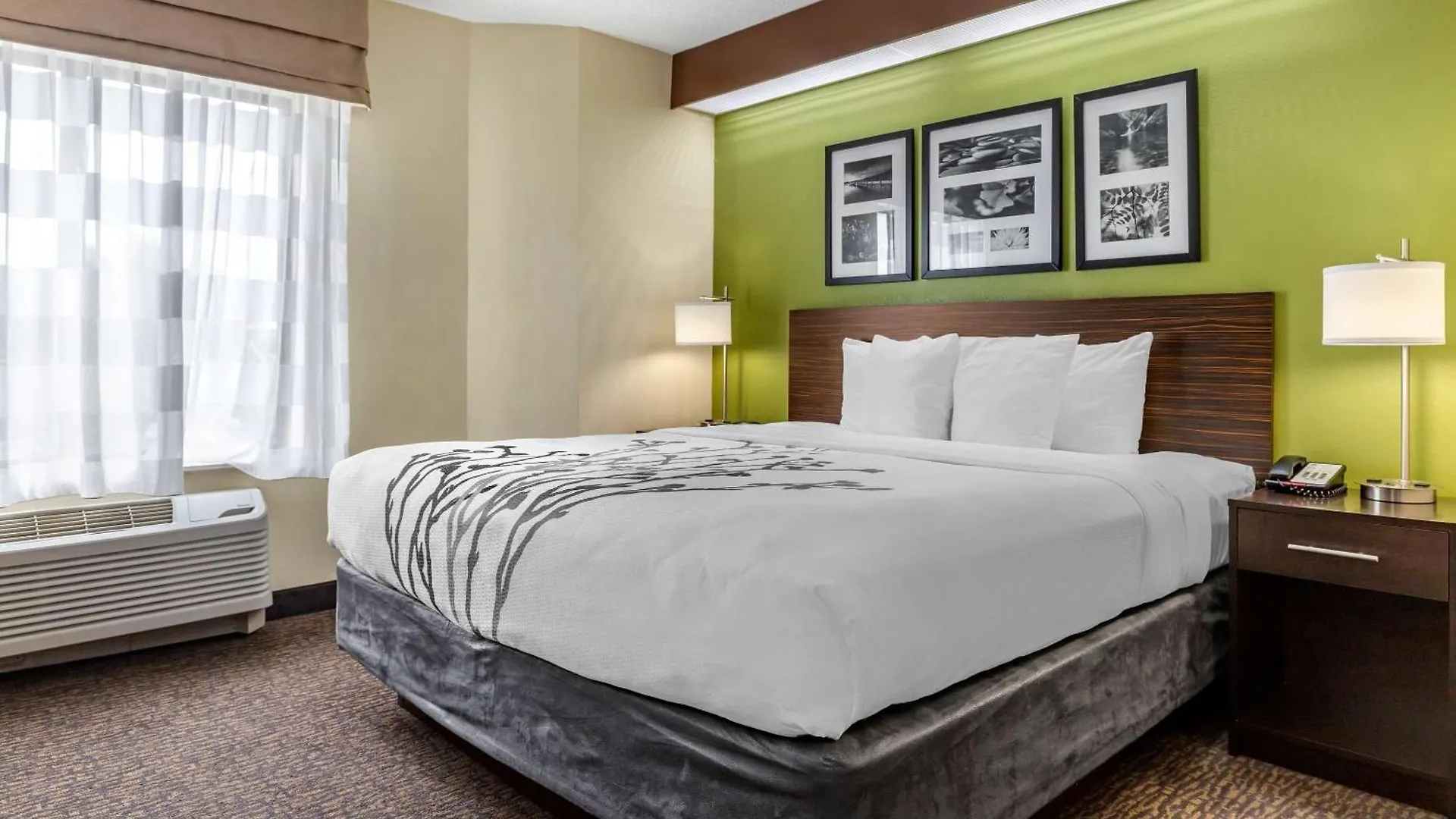 Sleep Inn Matthews-Charlotte