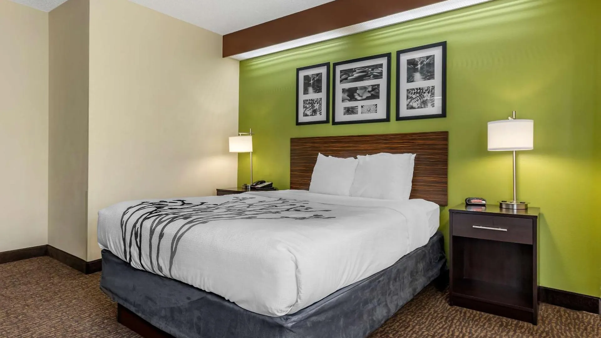 Sleep Inn Matthews-Charlotte Charlotte